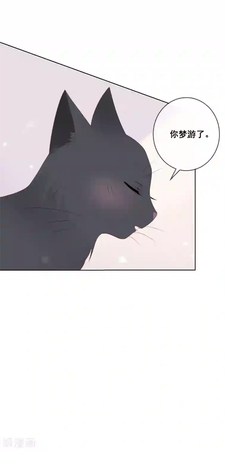 人气同桌是只猫第138话 我怎么变小了？！