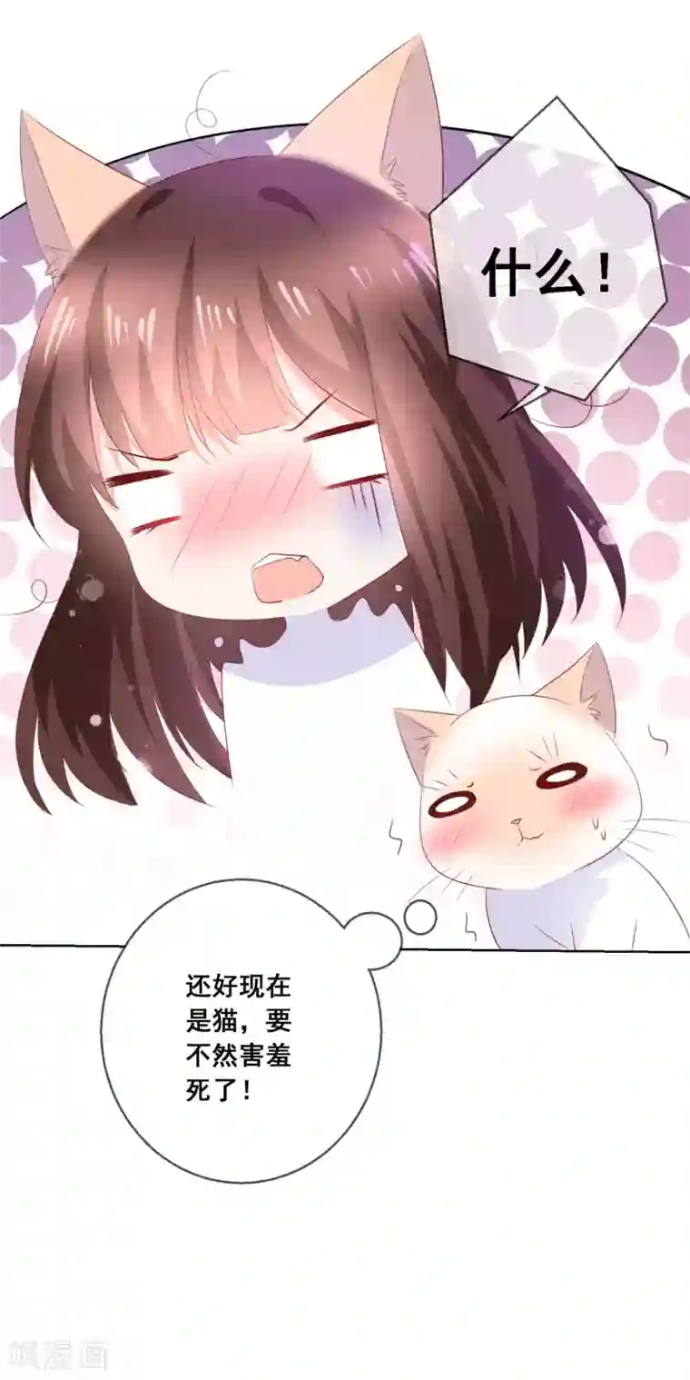 人气同桌是只猫第138话 我怎么变小了？！