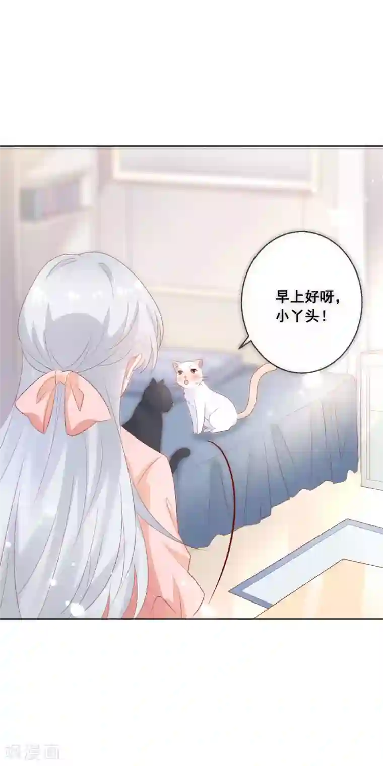 人气同桌是只猫第138话 我怎么变小了？！