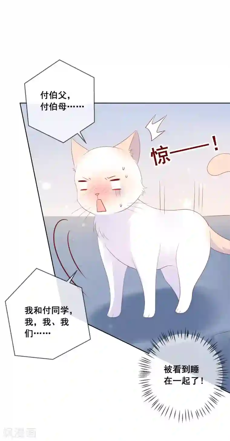 人气同桌是只猫第138话 我怎么变小了？！