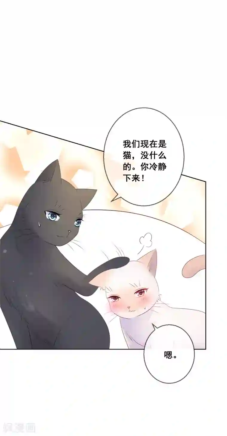 人气同桌是只猫第138话 我怎么变小了？！