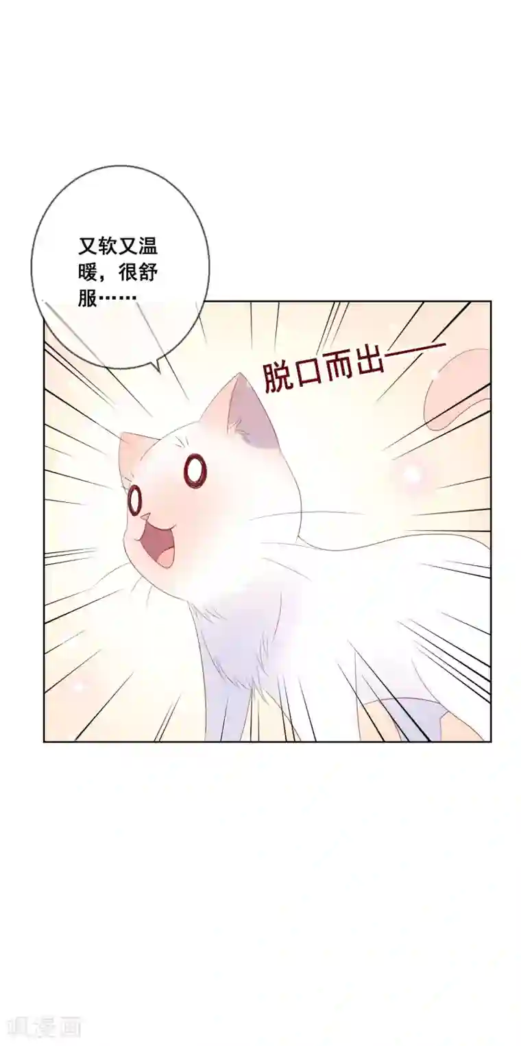 人气同桌是只猫第138话 我怎么变小了？！