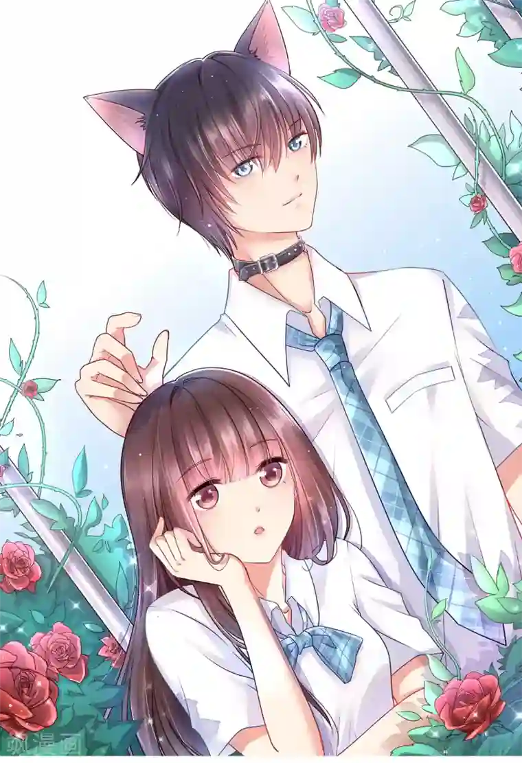 人气同桌是只猫最终话 我一定会找到你！