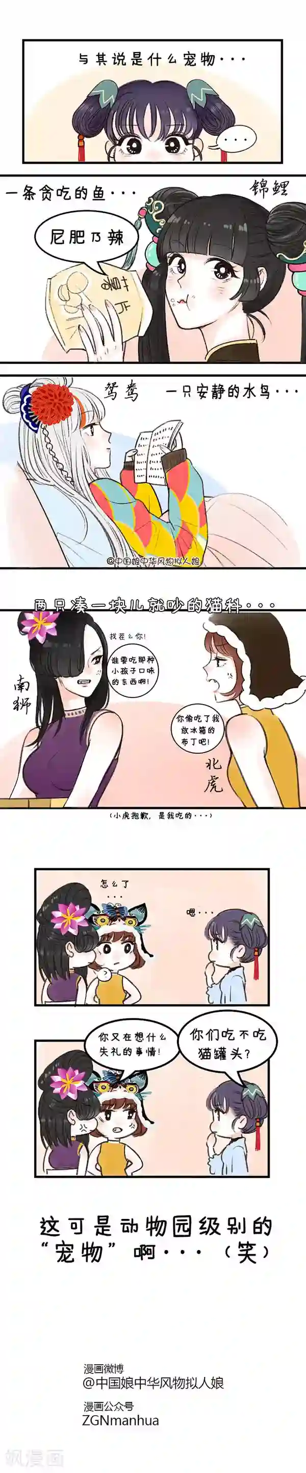 中国娘第19话 家有萌宠