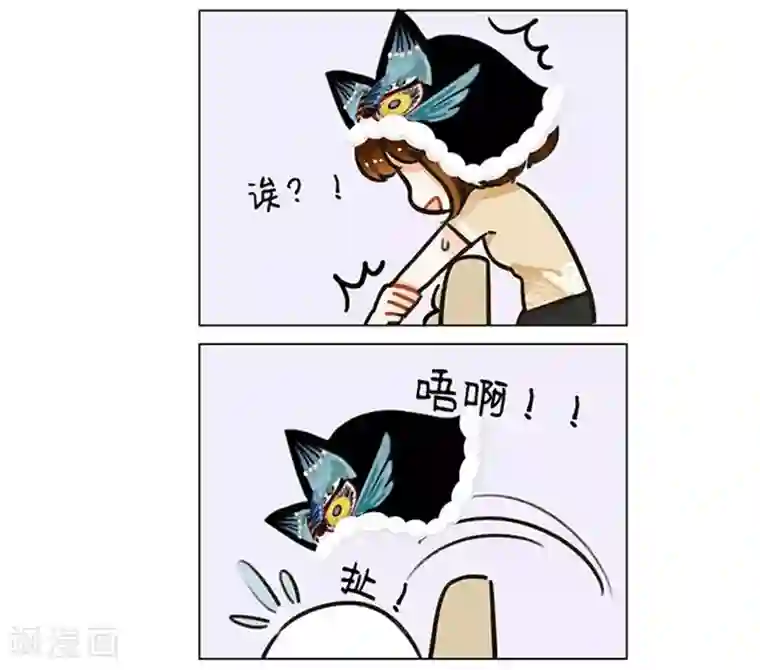 中国娘第91话 大猫小猫