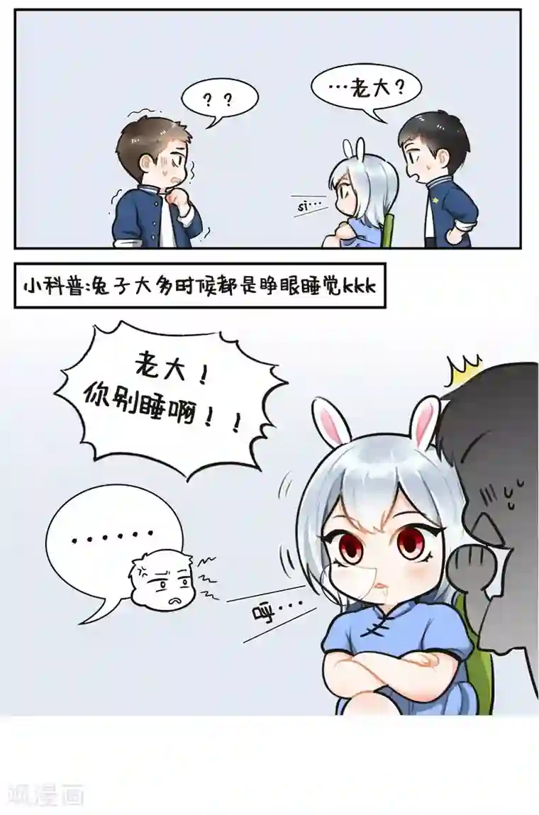 中国娘第132话 面瘫兔1