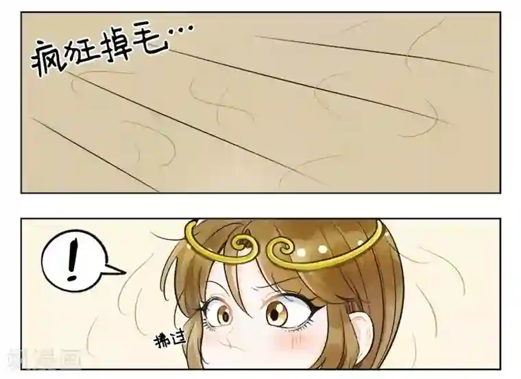 中国娘第135话 掉毛猴1