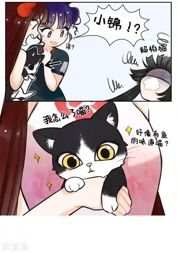 中国娘第150话 怕猫的锦鲤