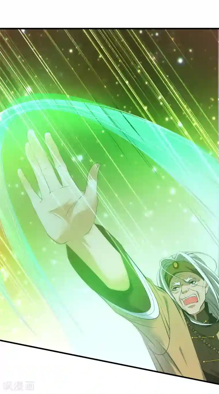 重生之都市狂仙第44话 掌灭宗师