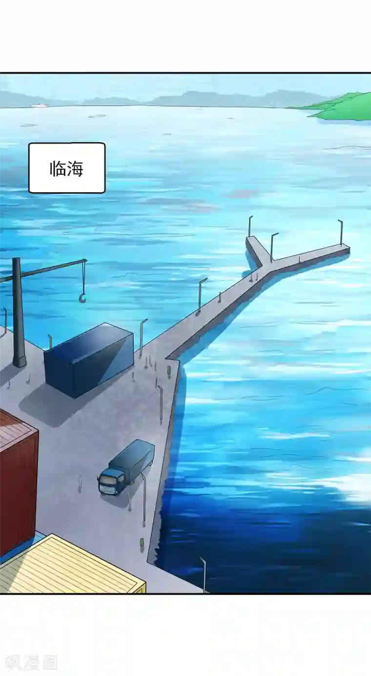 重生之都市狂仙第47话 海外宗师刘景岭