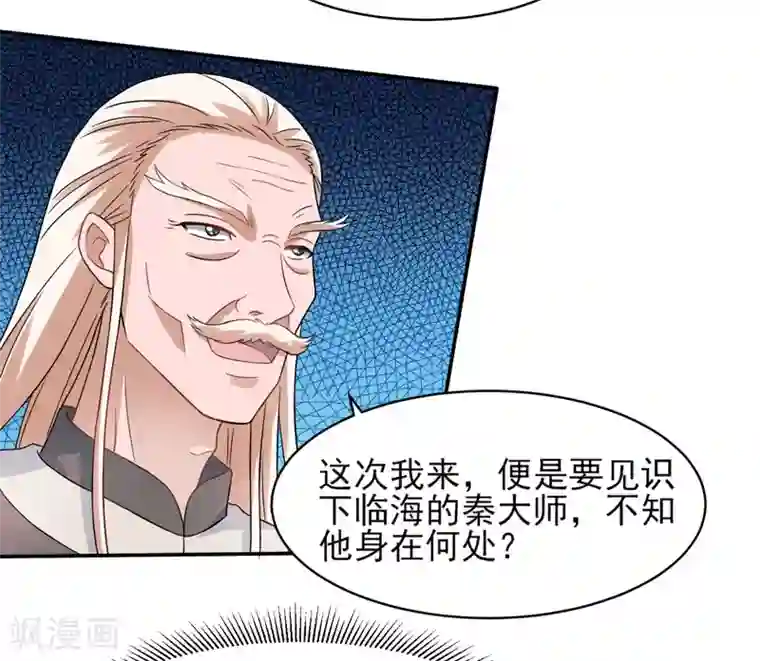 重生之都市狂仙第47话 海外宗师刘景岭