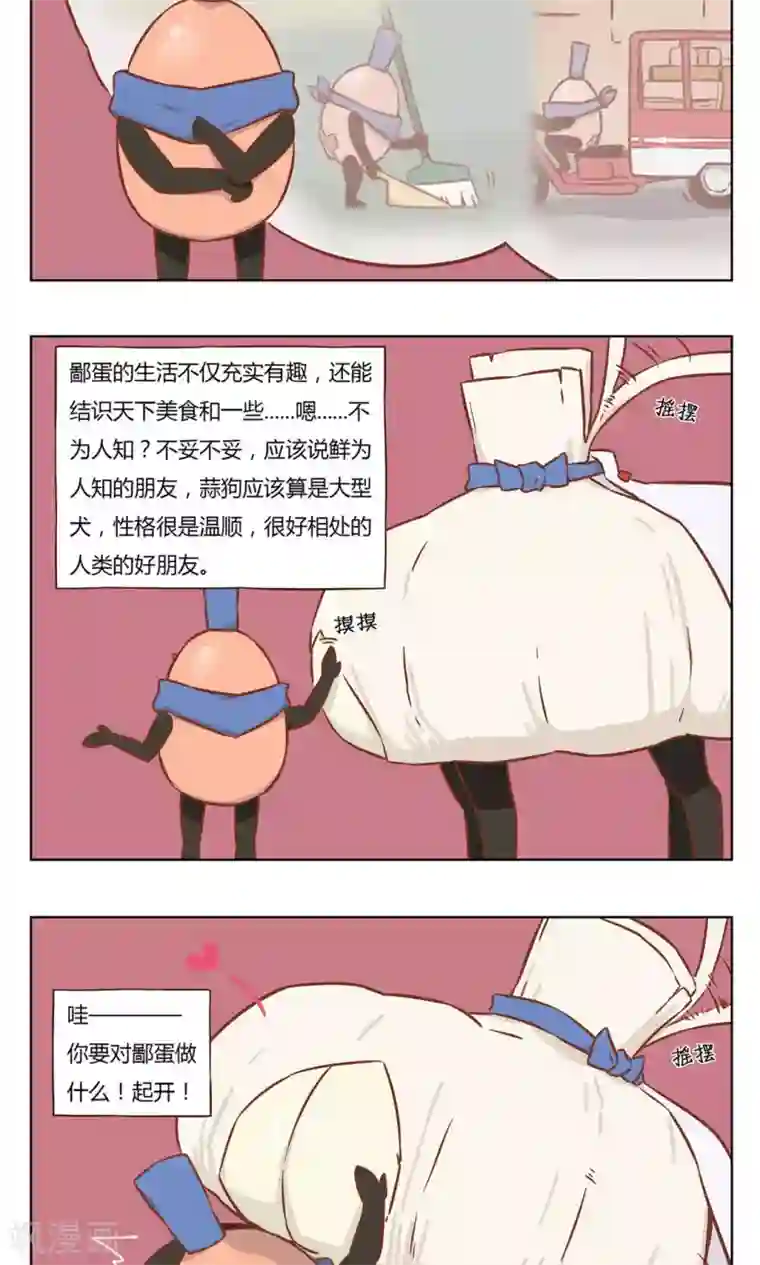 食聊志第21话 剩蛋的日常