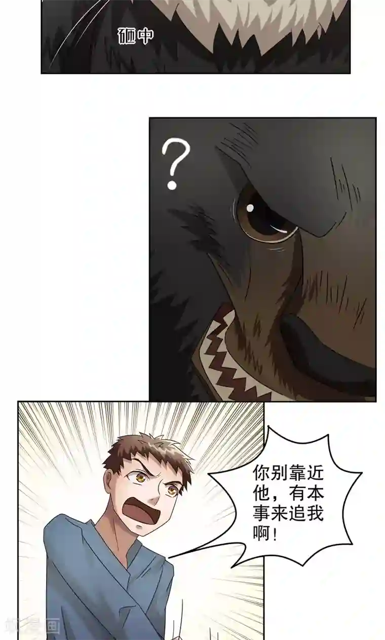 第五号放映厅第15话 阿生阿世4：大黑熊