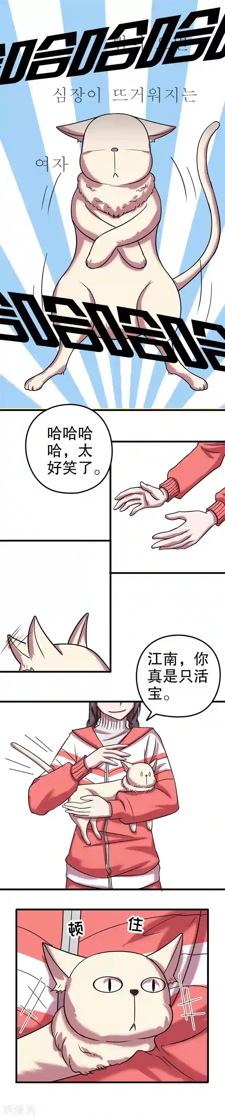 第五号放映厅第31话 公主日记7：江南style
