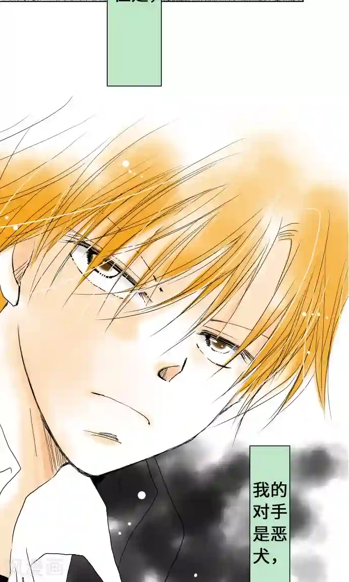 我的汪汪男友第15话 我的偶像