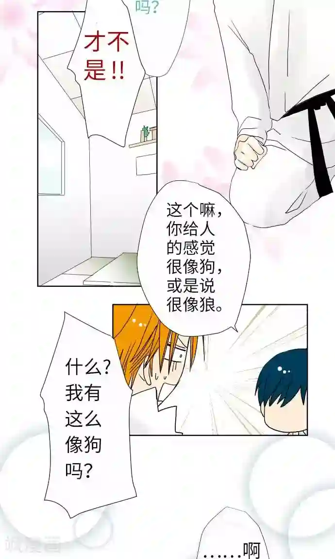 我的汪汪男友第19话 情人节