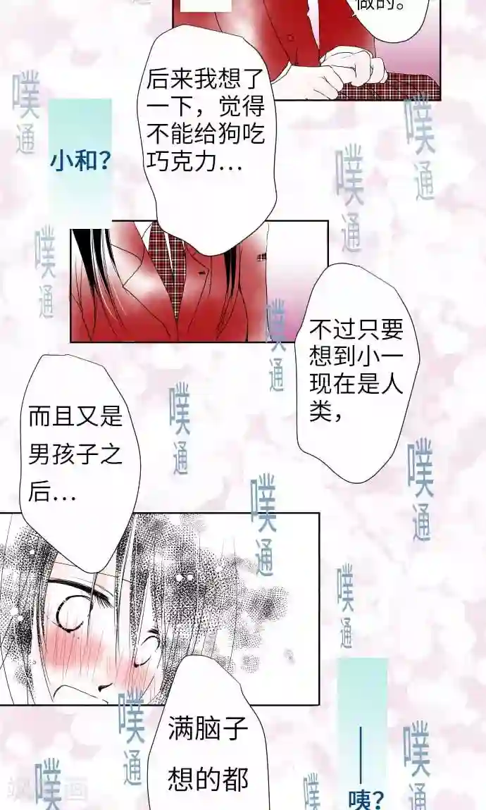 我的汪汪男友第20话 情人节后篇