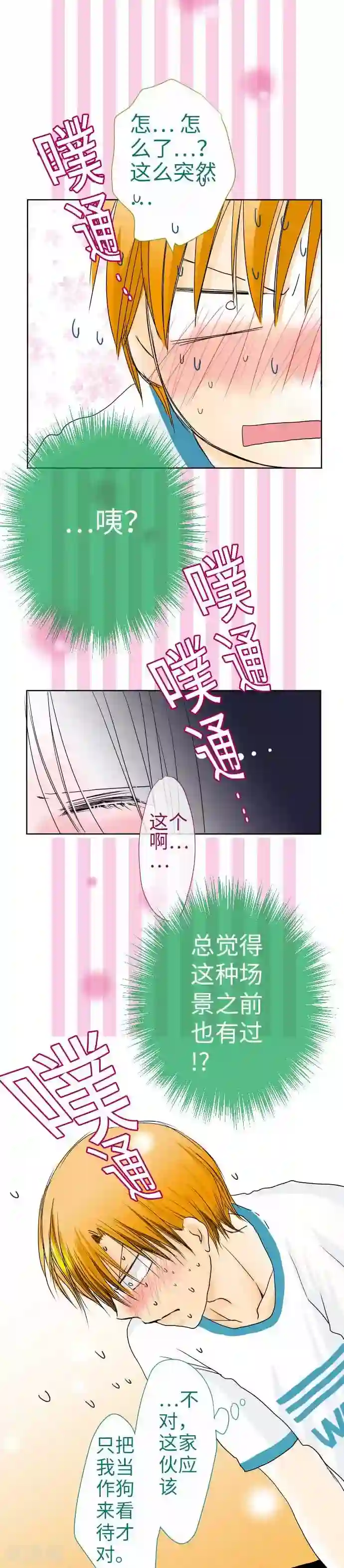 我的汪汪男友第40话 人类or狗