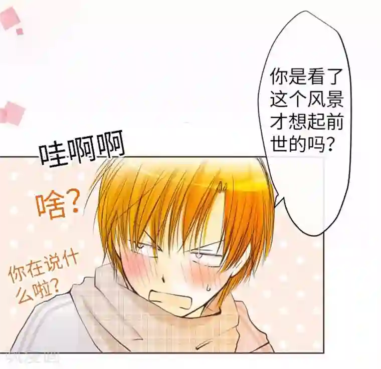 我的汪汪男友第70话 夕阳和前世