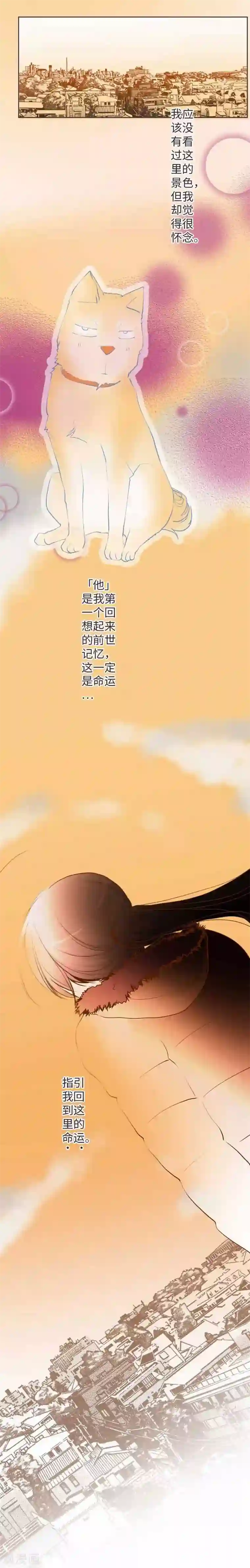 我的汪汪男友第70话 夕阳和前世