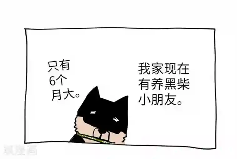 我的汪汪男友第79话 美雪的哲学