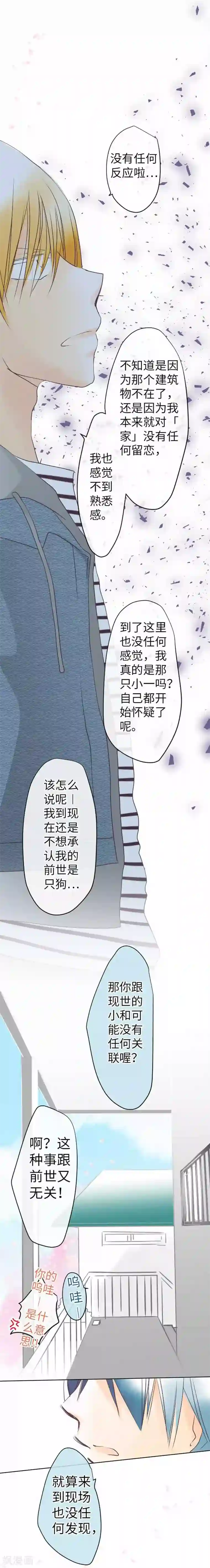 我的汪汪男友第81话 案发现场