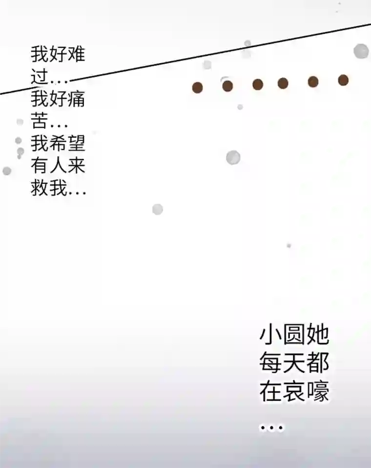 我的汪汪男友第91话 被爱这件事