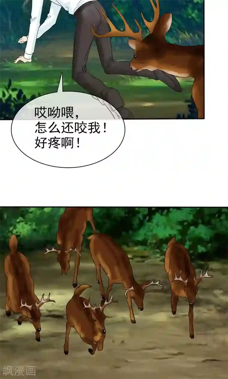 如果从没爱过你第100话 别咬我屁股！