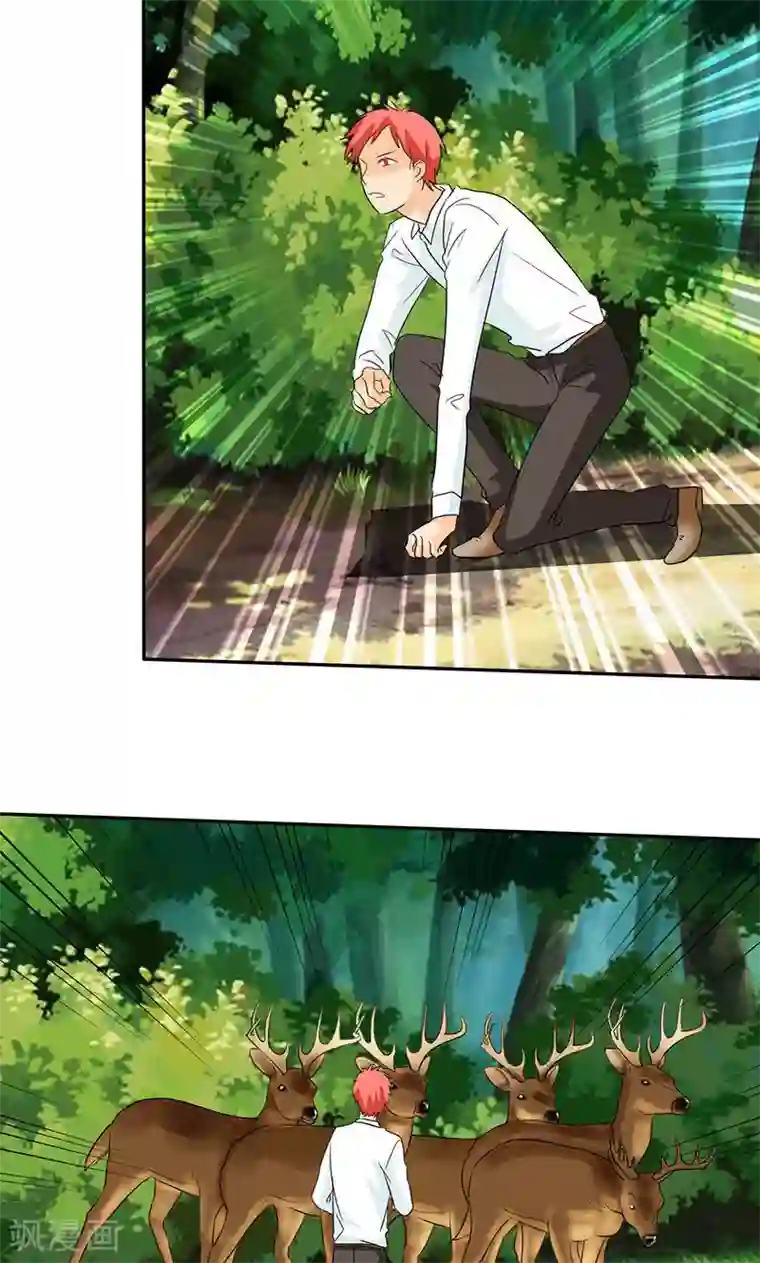 如果从没爱过你第108话 要回去了