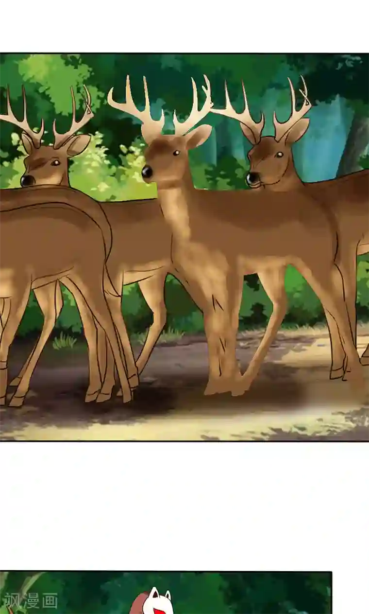 如果从没爱过你第108话 要回去了