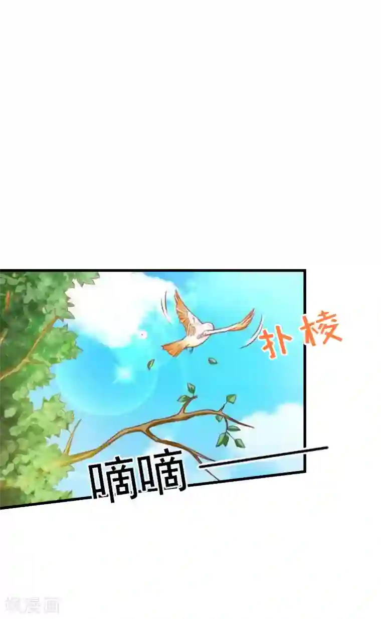 薄情总裁的助理女友第37话 车祸