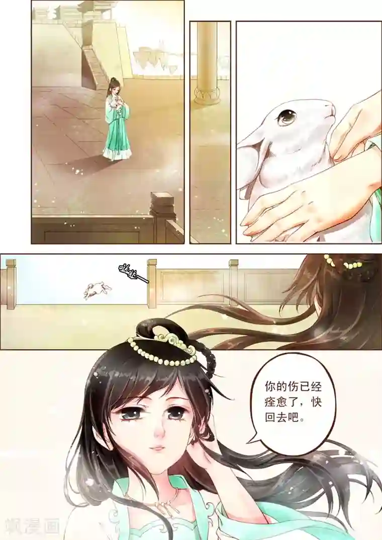 青荷全一话
