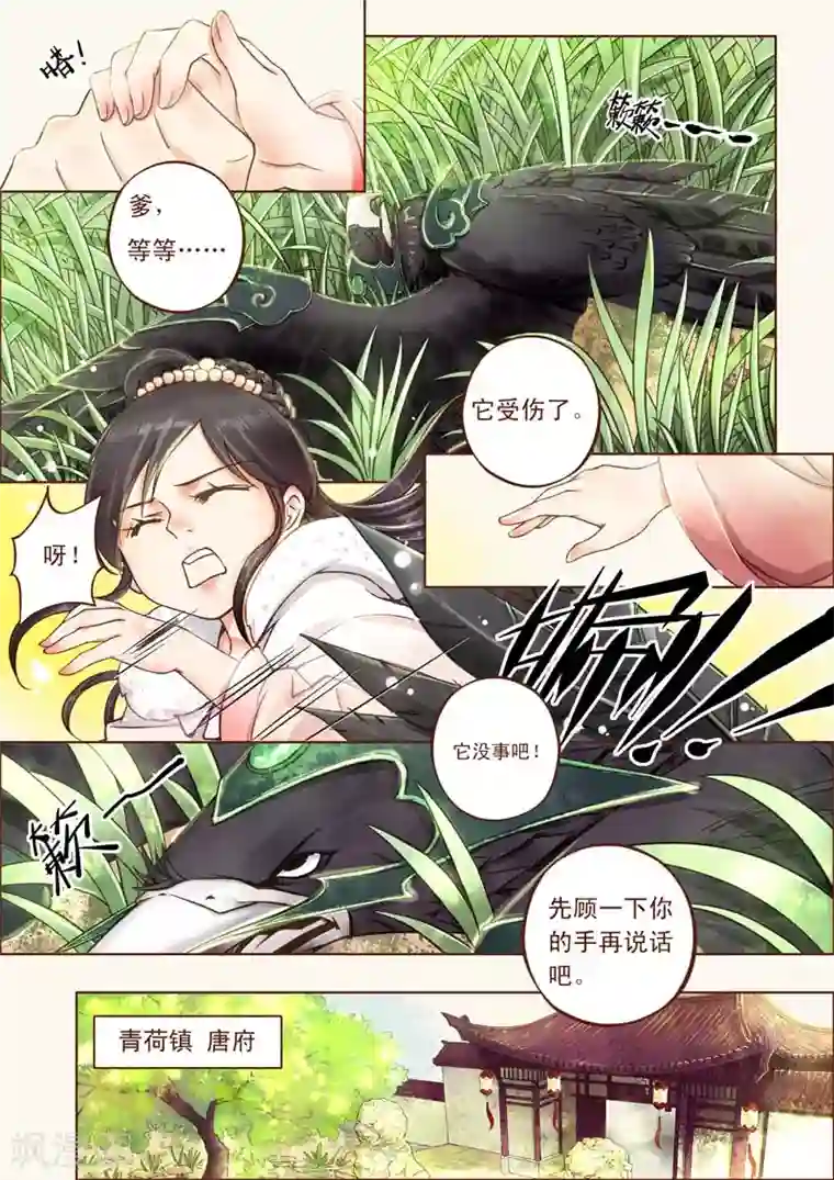 青荷全一话