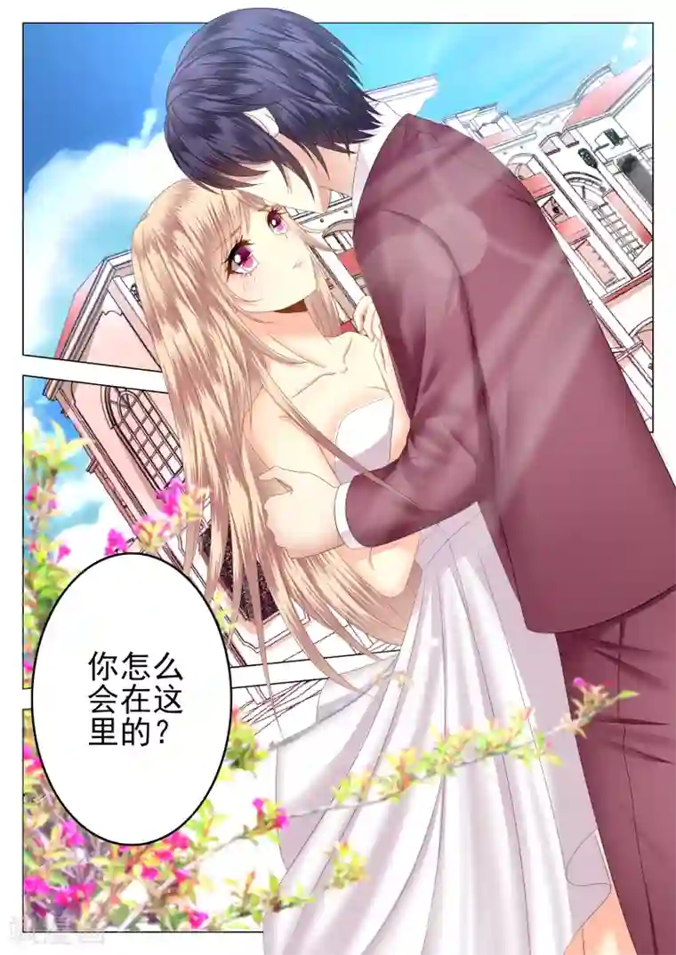 校草会长是头狼第1话