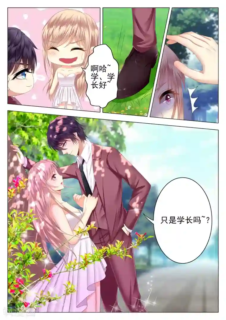 校草会长是头狼第1话