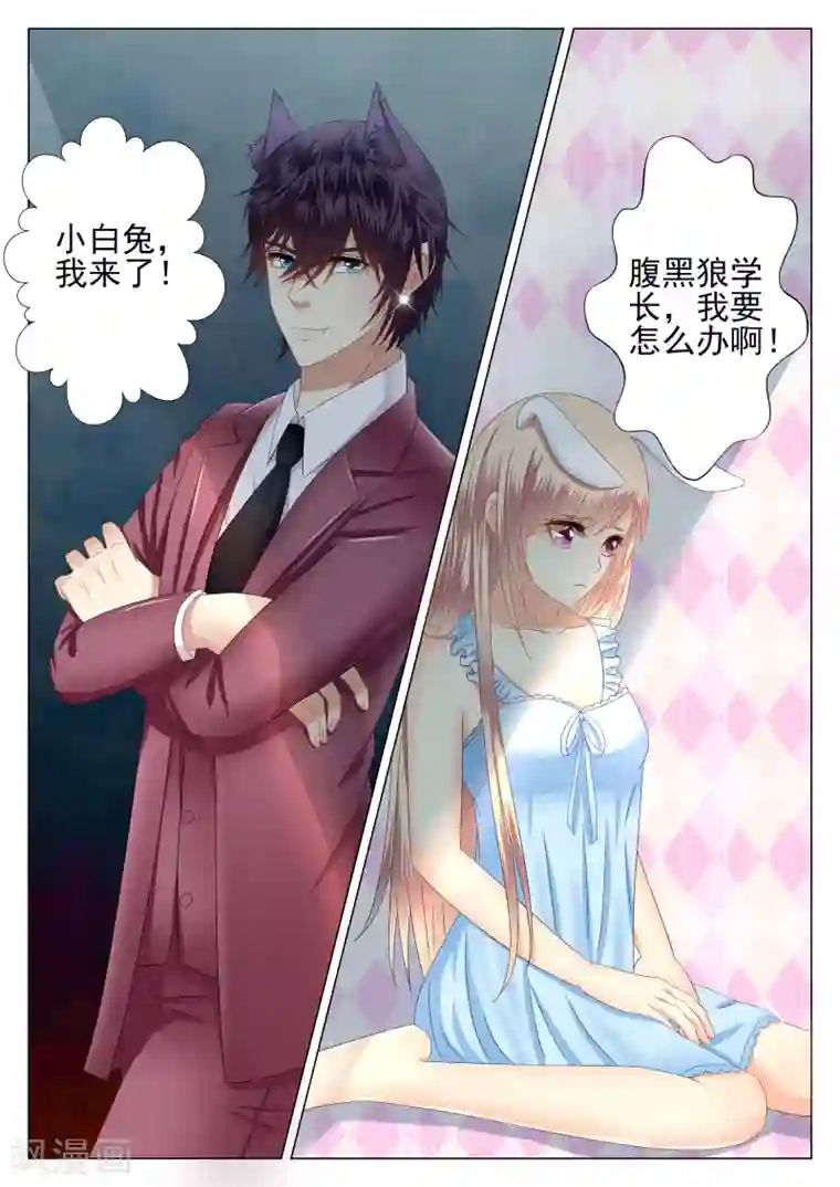 校草会长是头狼第3话