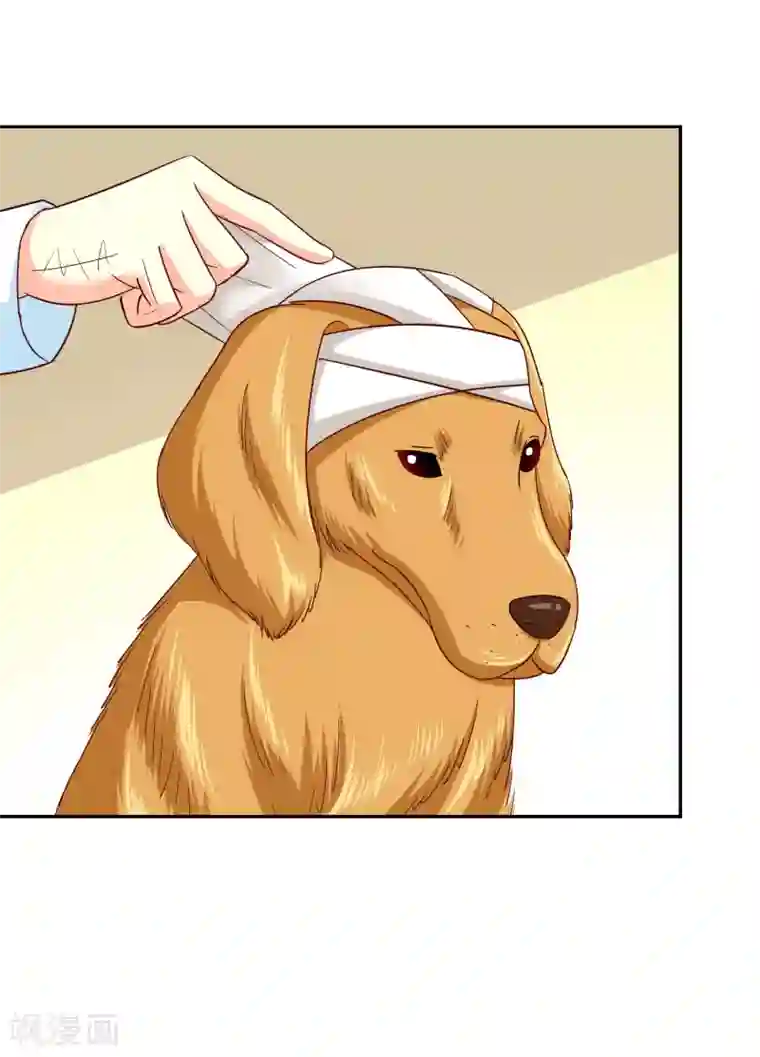 校草会长是头狼第110话