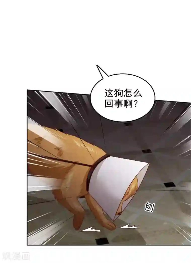 校草会长是头狼第111话