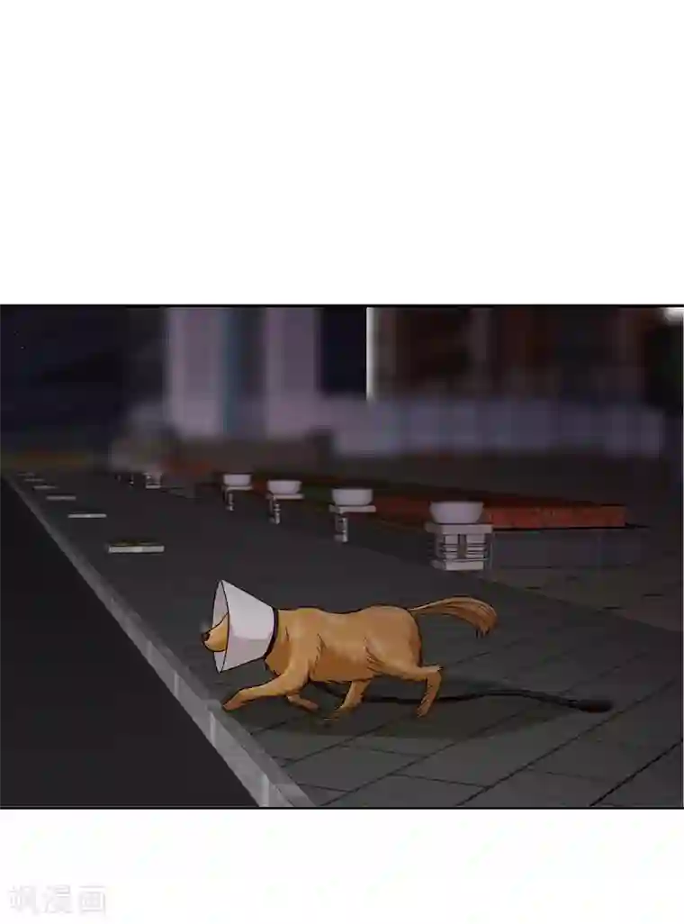 校草会长是头狼第111话