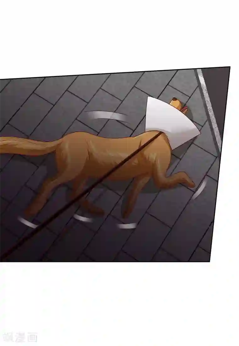 校草会长是头狼第111话