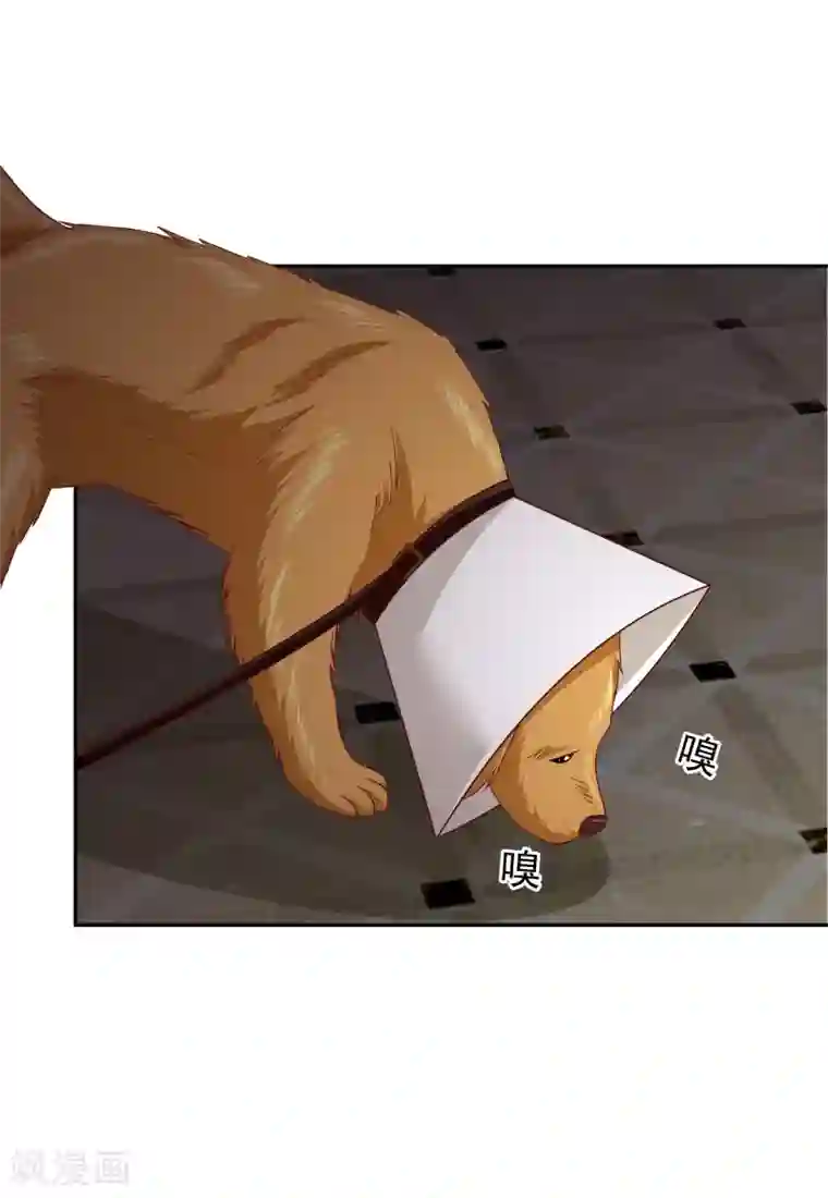 校草会长是头狼第111话