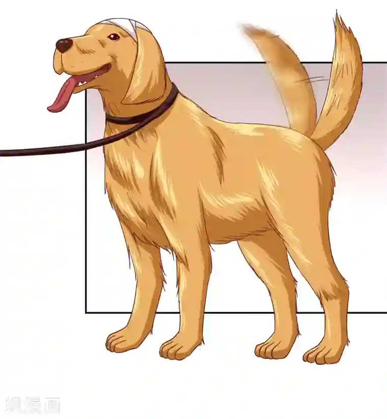 校草会长是头狼第115话