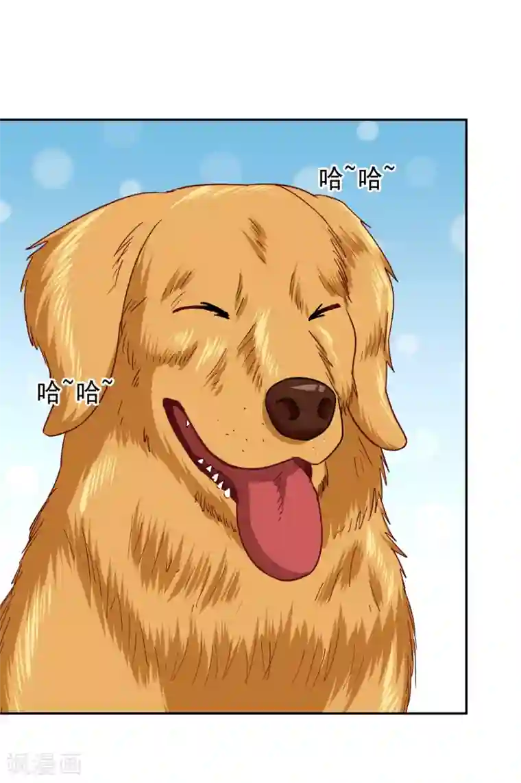 校草会长是头狼第116话