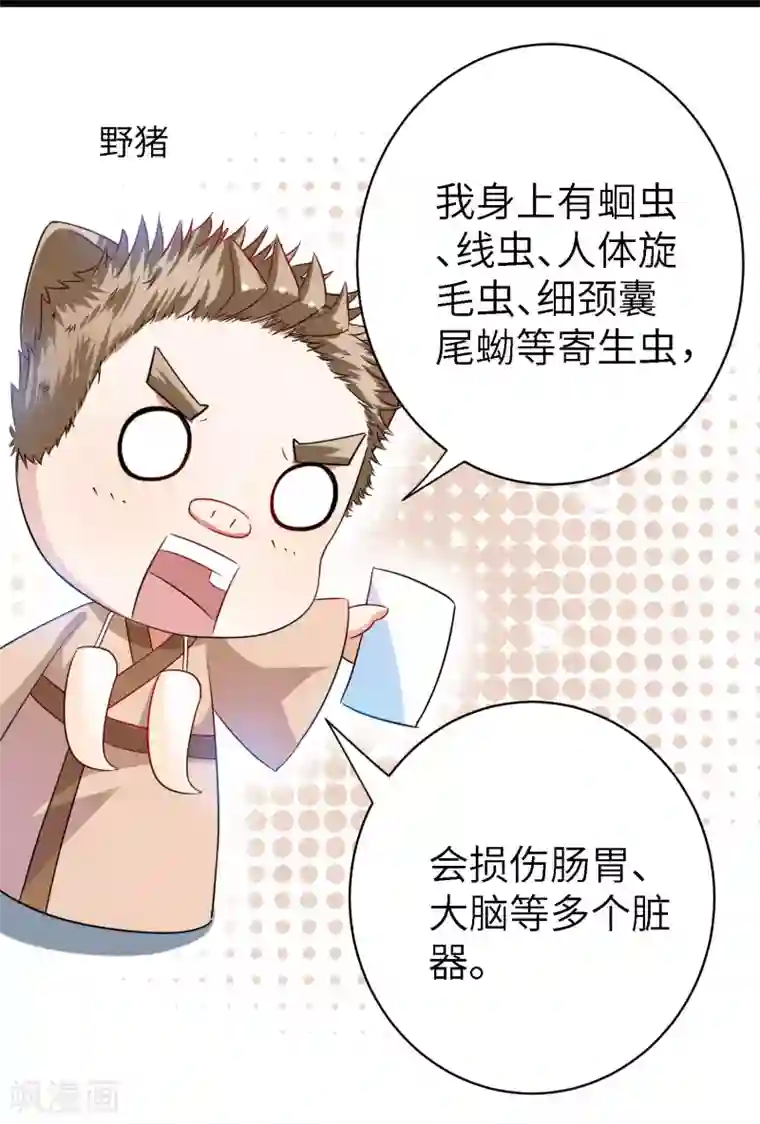 吃野味,病床C位全一话