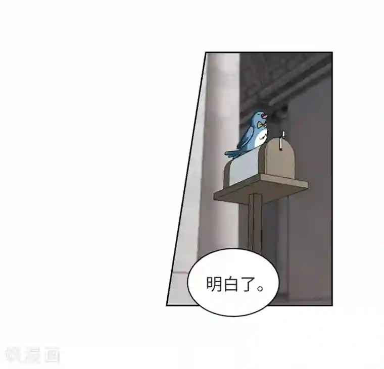 网游之近战法师第212话 蹲点儿2