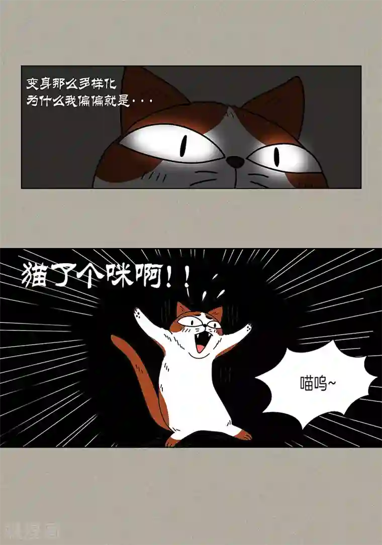 猫王子第2话 我会说猫语