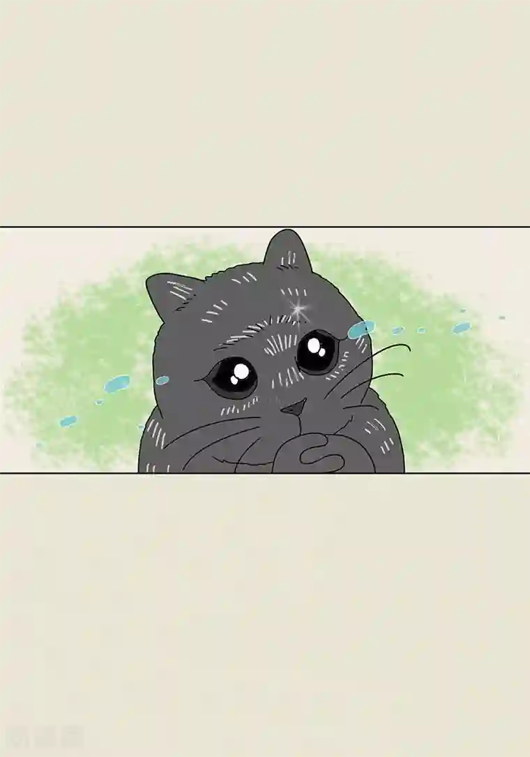 猫王子第3话 被捉弄