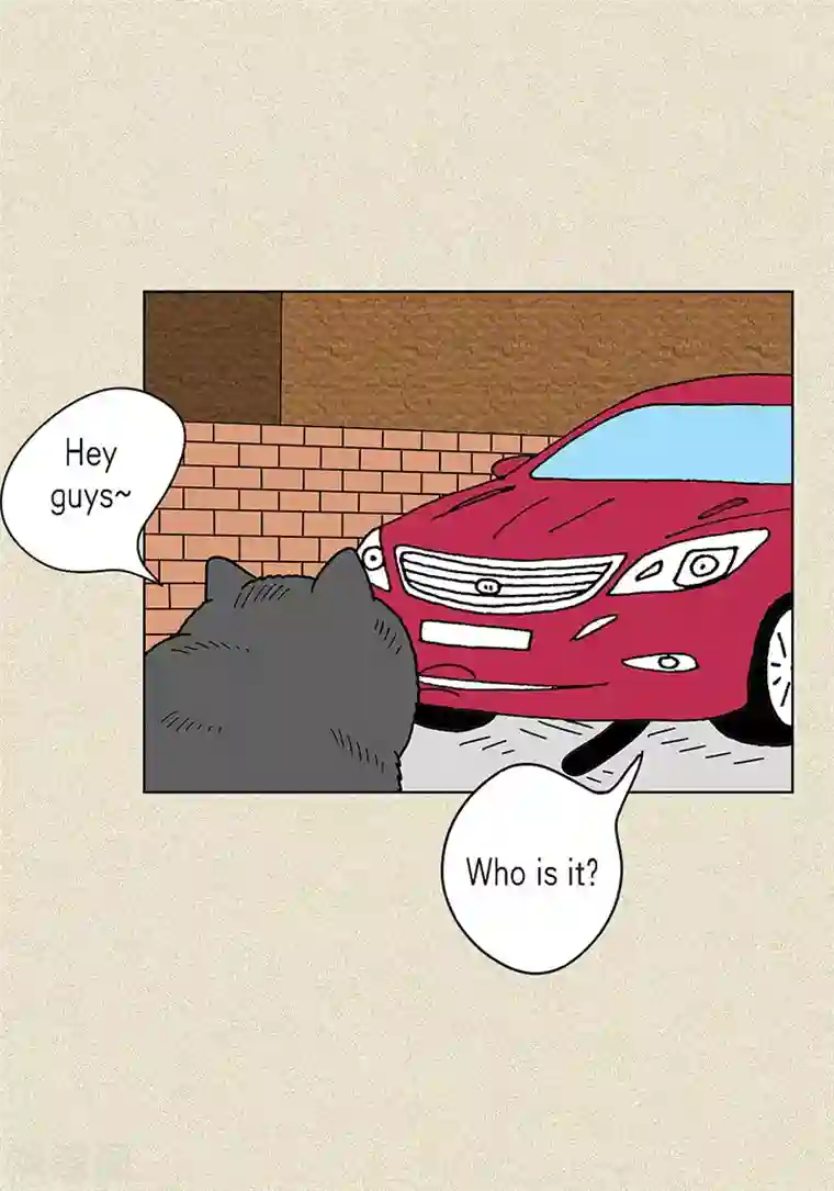 猫王子第3话 被捉弄