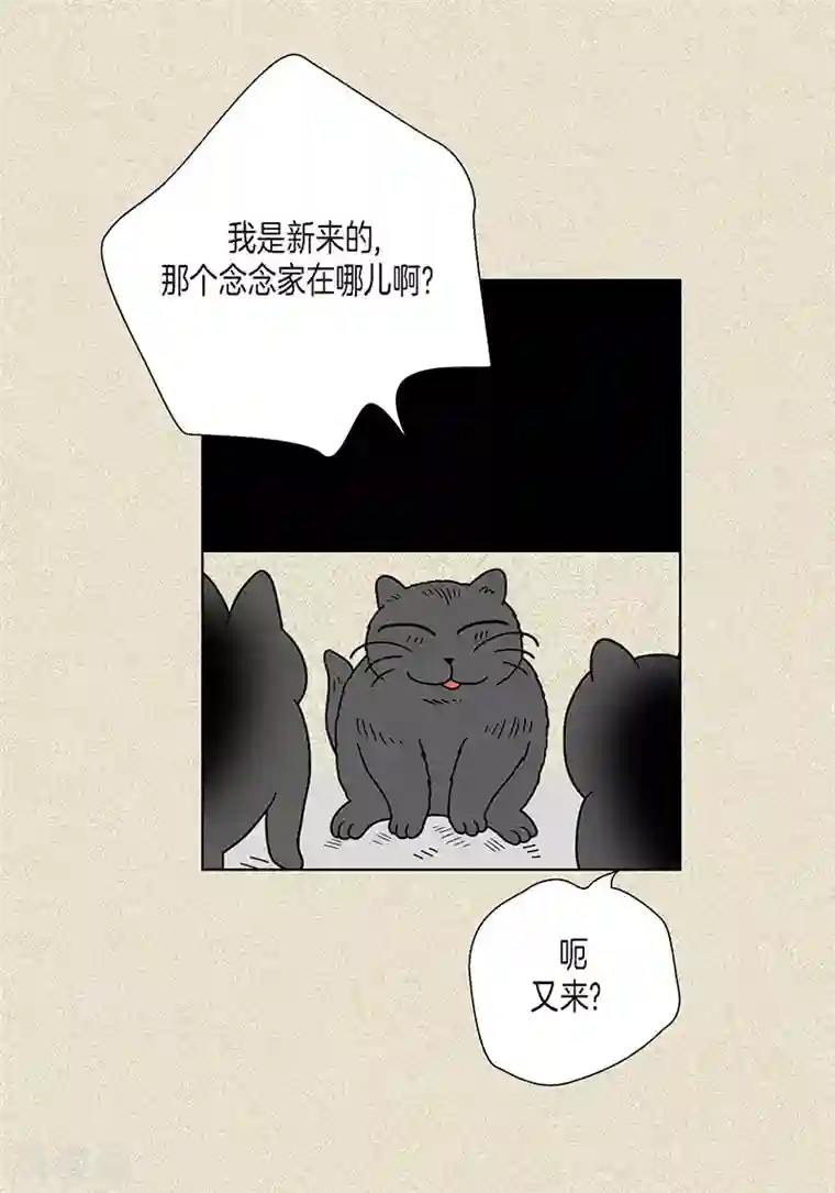 猫王子第3话 被捉弄