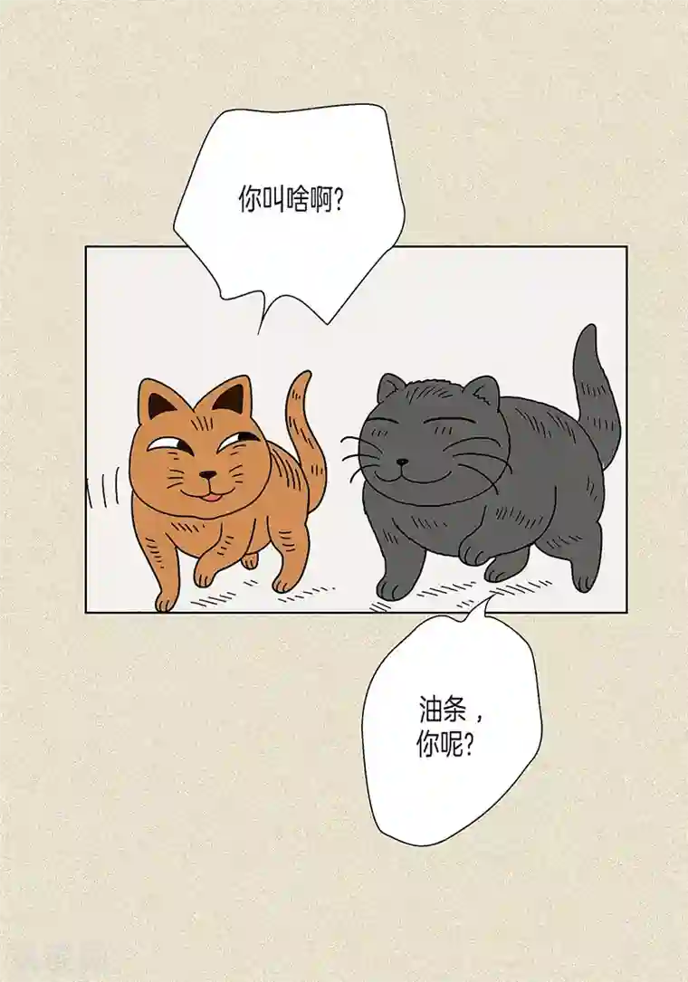 猫王子第3话 被捉弄